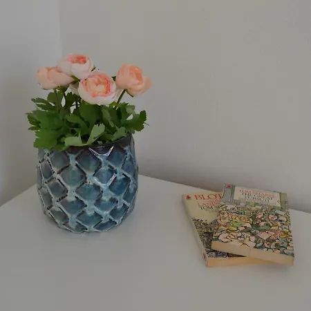 דירה Historical V18 *